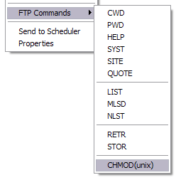 FTP Commands menu