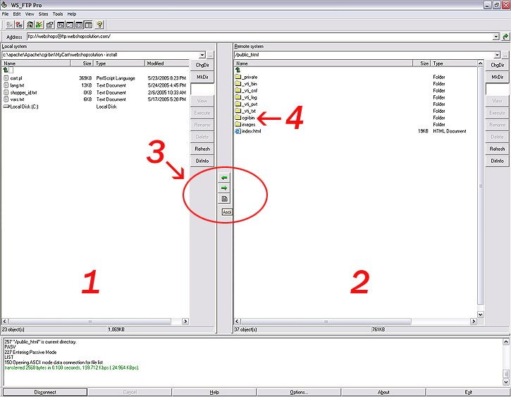 The general layout of the WS_FTP window.